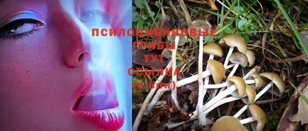 стафф Белоозёрский