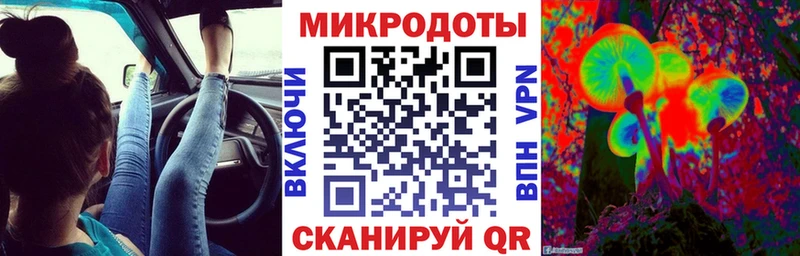 как найти   Кубинка  Псилоцибиновые грибы Psilocybe 